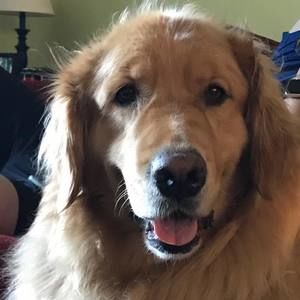 Meet your Posher, Sherry